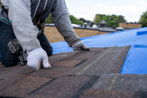 Best Metal Roofing Contractor  in Pearl Beach, MI