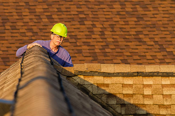Roof Gutter Cleaning in Pearl Beach, MI