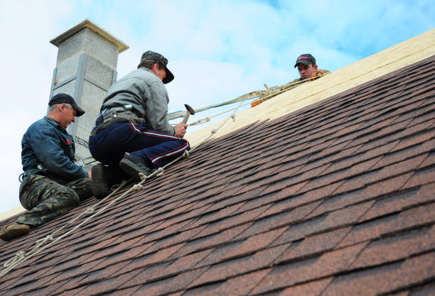 Best Local Roofing Companies  in Pearl Beach, MI
