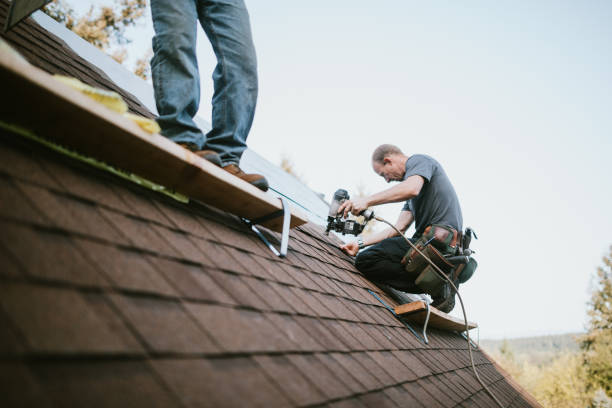 Best Metal Roofing Contractor  in Pearl Beach, MI